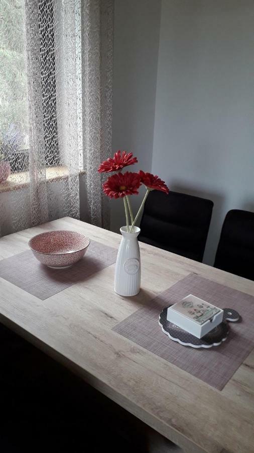 Apartman Nana Svetogorska 19 ,Stan 17 Zlatibor Esterno foto