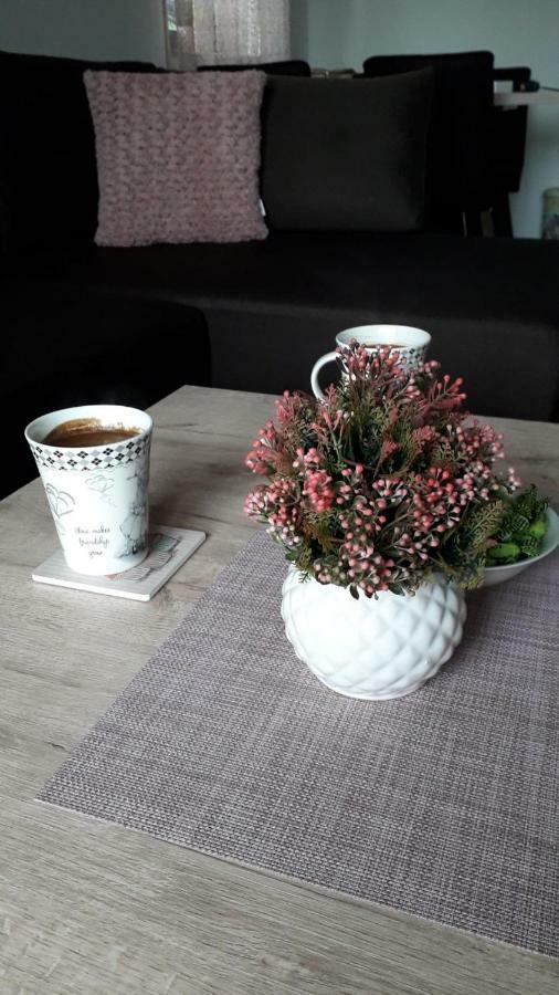 Apartman Nana Svetogorska 19 ,Stan 17 Zlatibor Esterno foto